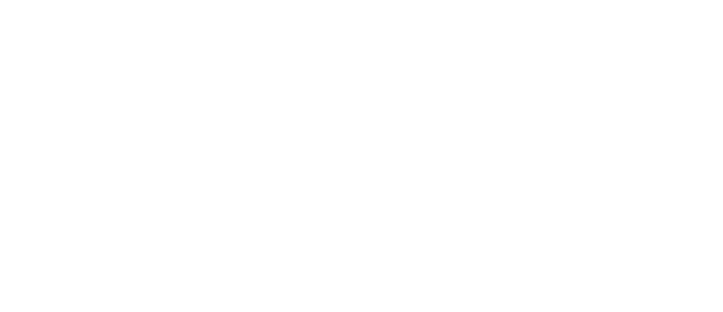White rgb noesis logo